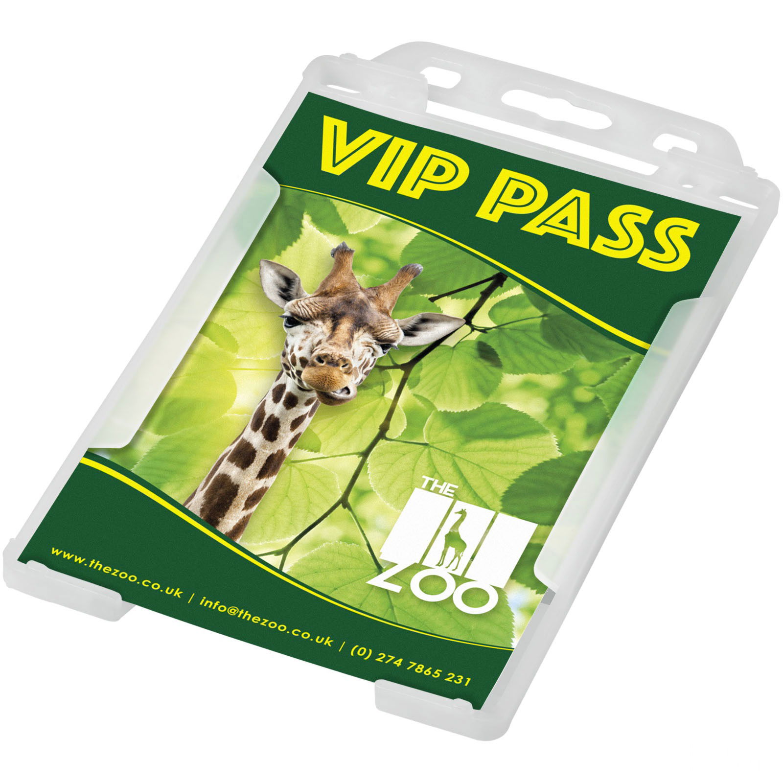 Pierre korthållare av återvunnen plast  - Frostad genomskinlig med tryck