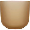 Male serveringsbricka i trä och set med glasmuggar med matt finish - bild 2