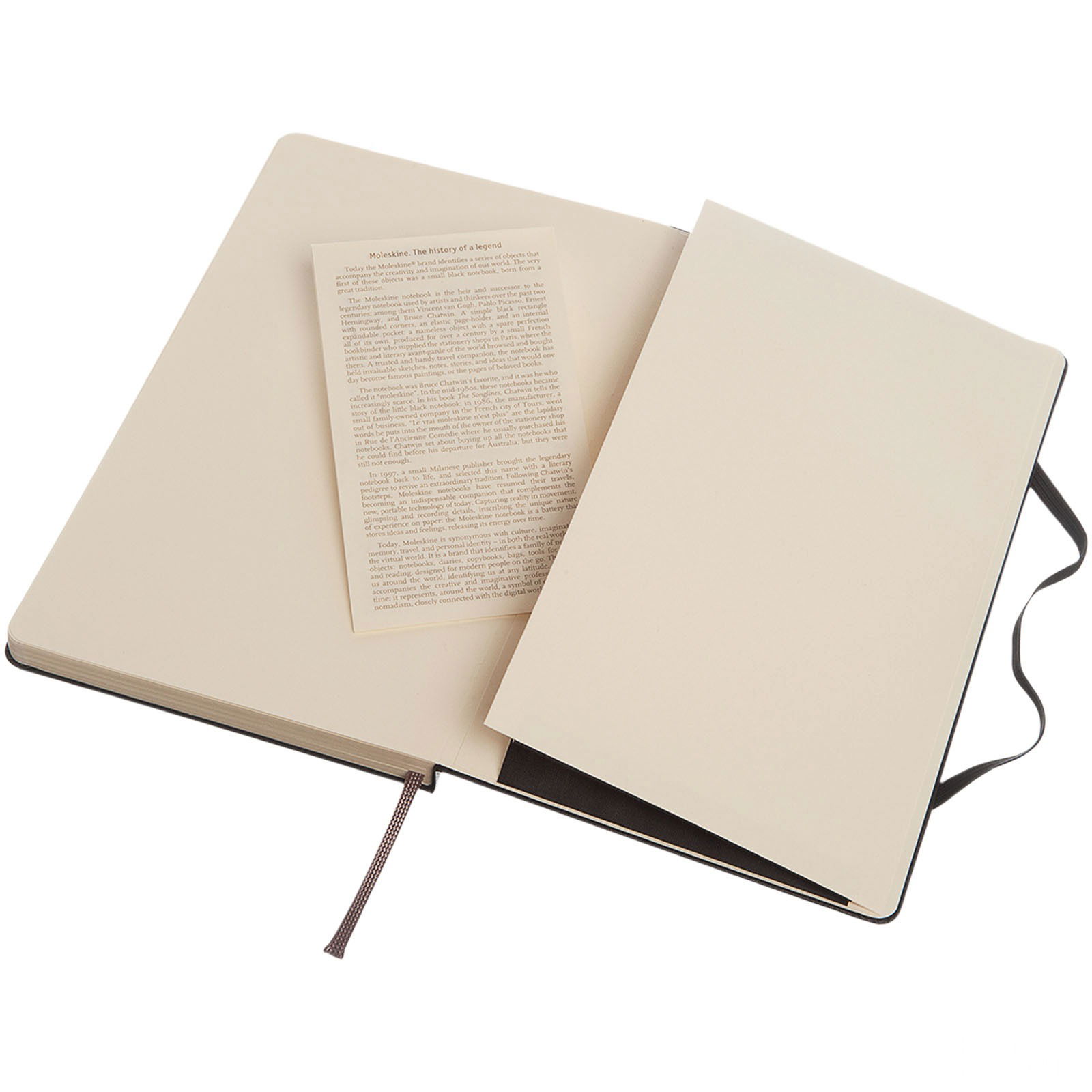 Moleskine Classic L Hardcover Notebook – Dotted