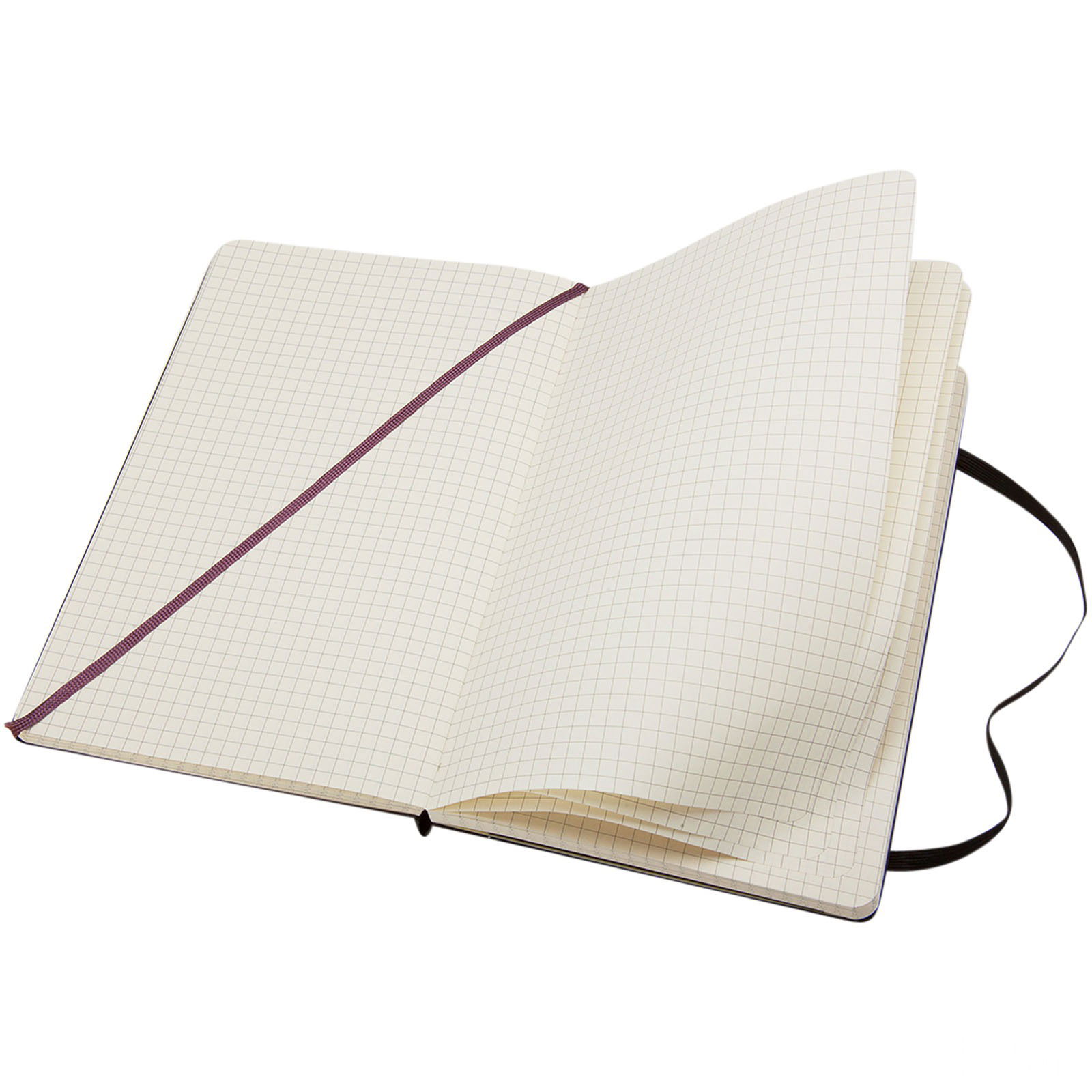 Moleskine Classic L innbundet notatbok – rutete med trykk