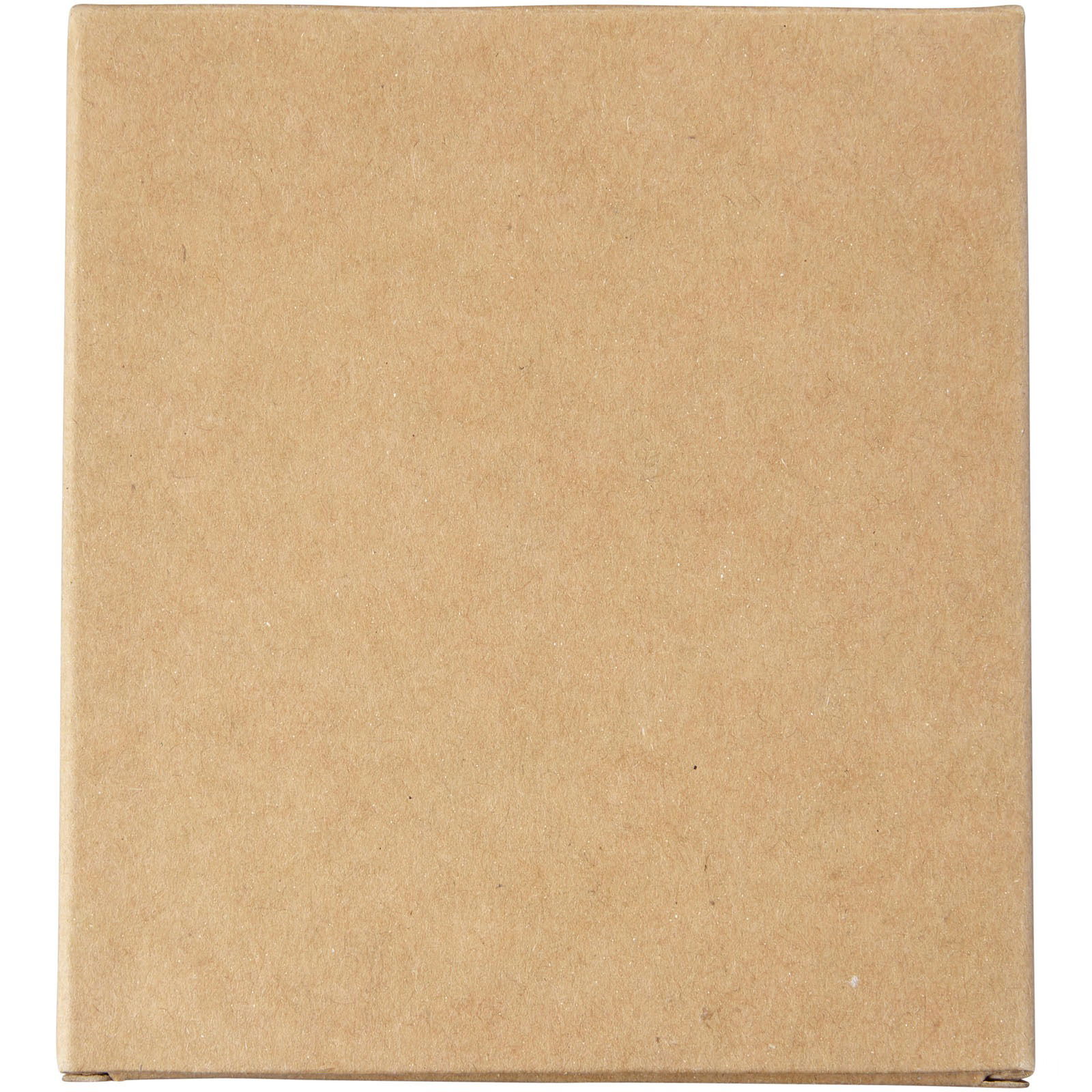 Screech 4-delars set med kritor