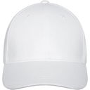 Davis 6-panelskeps - bild 2