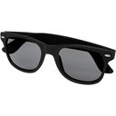 Sun Ray Retro Sunglasses - image 1