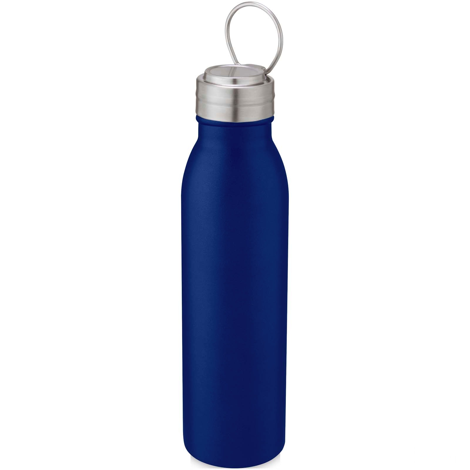 Harper 700 ml stainless steel water bottle with metal loop