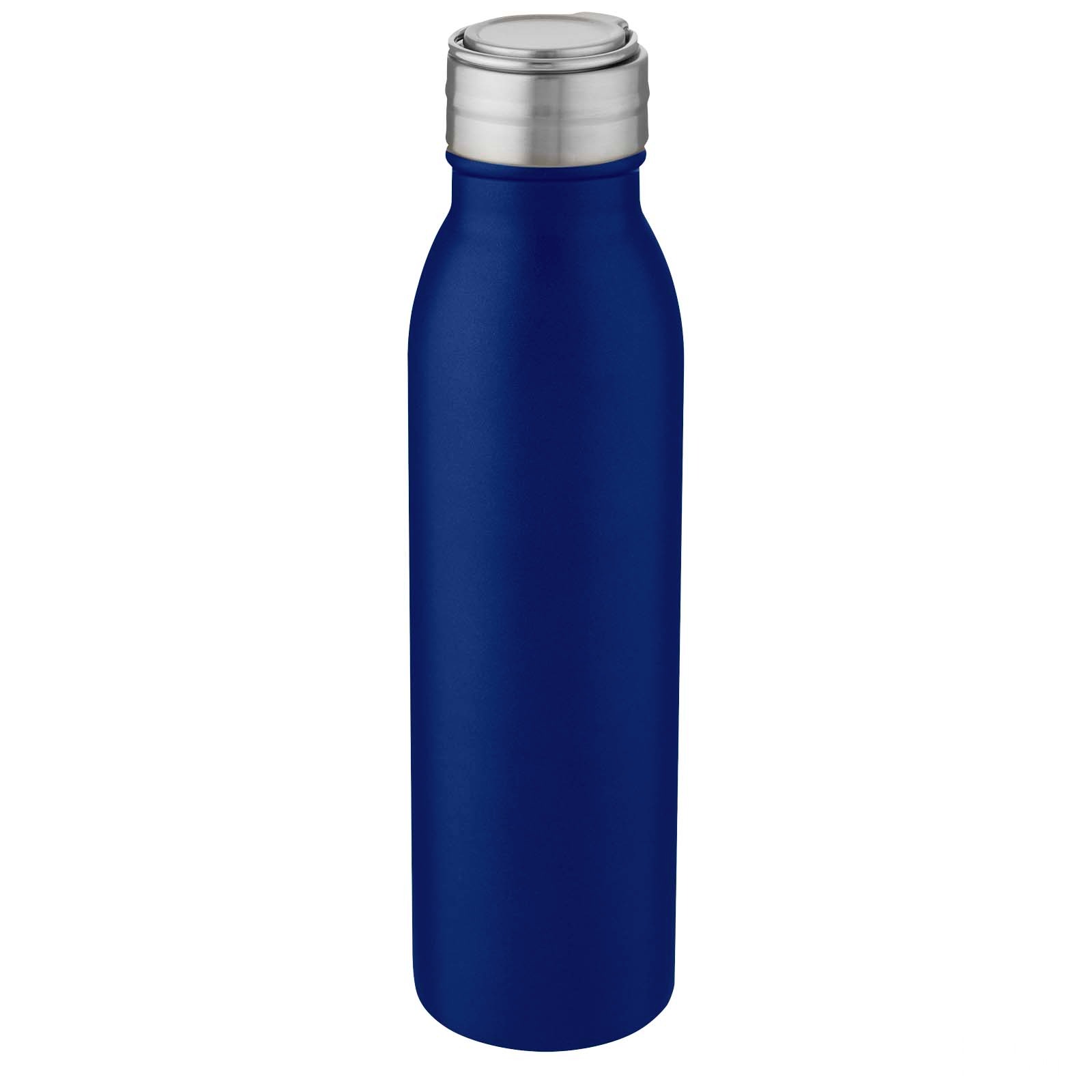 Harper 700 ml stainless steel water bottle with metal loop